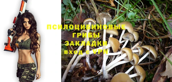 стаф Алексеевка