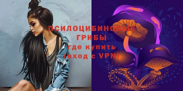 стаф Алексеевка
